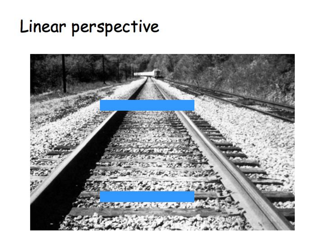 <p>parallel lines appear to meet in the distance. The sharper the angle of convergence. the greater the perceived distance</p>