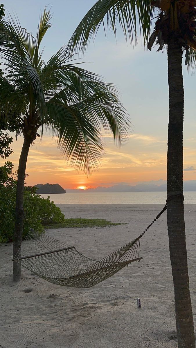 <p><em>Beach.</em></p>