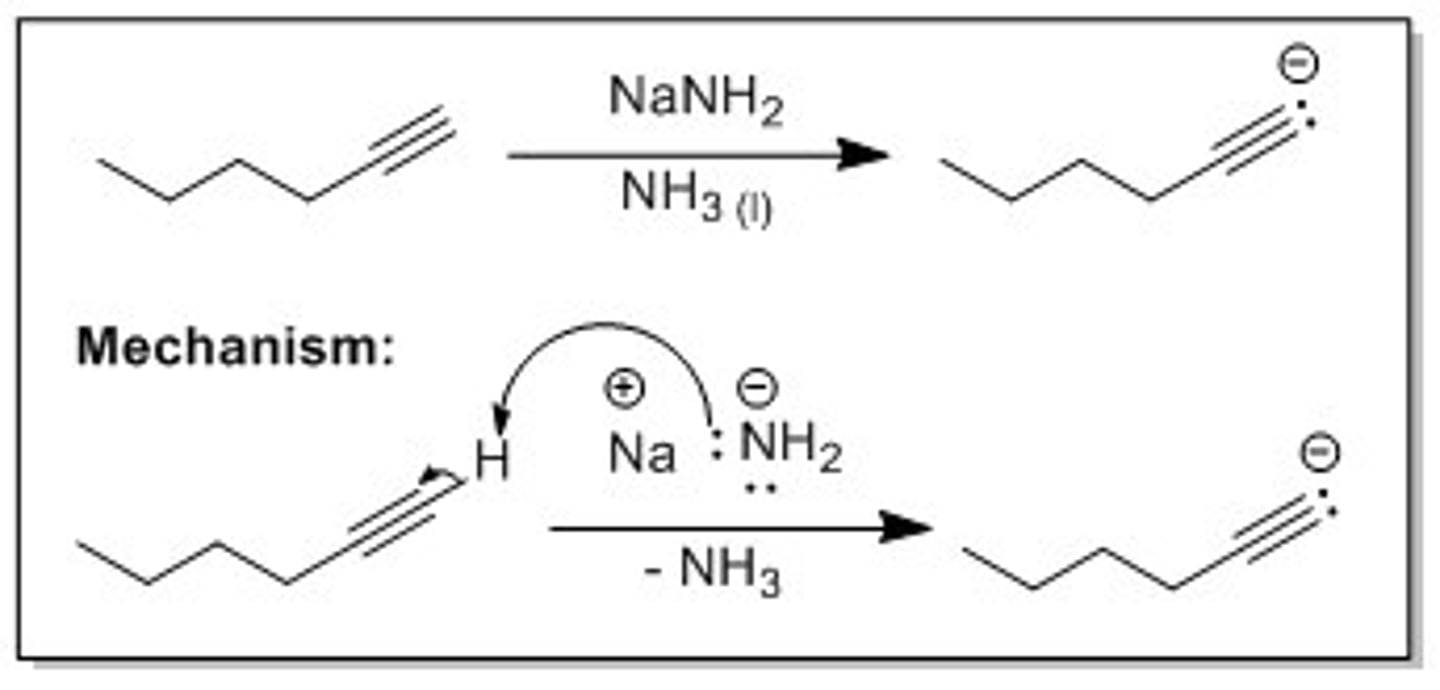 <p>Removes H from Alkyne making a negative C used as a nucleophile</p>