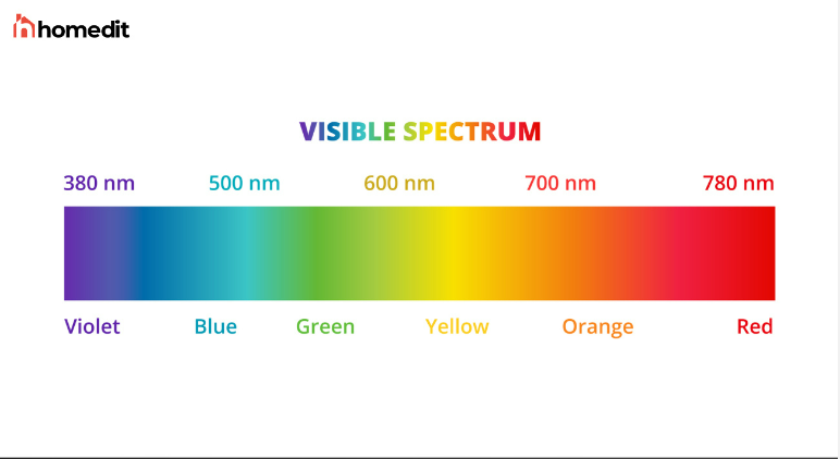 <p>ROYGBIV</p><p>Spectral color is light of a specific wavelength, with a deep chromatic saturation.</p>