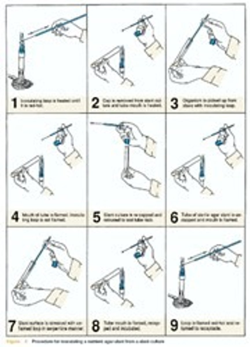 <p>To avoid contamination of cultures, tools, and self.</p>
