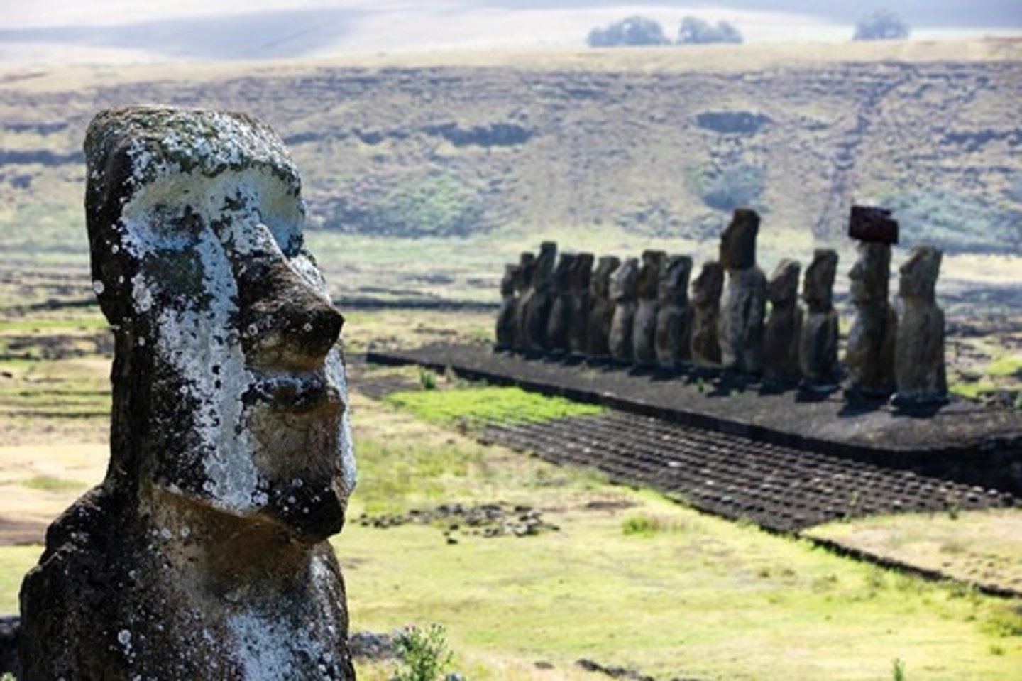 <p>Moai statue, c. 15th century, made of volcanic tufa from Easter Island (Rapa Nui), Polynesia.</p>