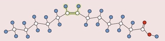 <p>What type of fatty acid is this?</p>