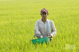 <p><span style="color: blue;"><strong><mark data-color="red" style="background-color: red; color: inherit;">(Danh từ)</mark></strong></span><mark data-color="red" style="background-color: red; color: inherit;">: </mark><strong><mark data-color="red" style="background-color: red; color: inherit;">mùa vụ, cây trồng</mark></strong></p><p><span data-name="small_blue_diamond" data-type="emoji">🔹</span> Farmers are expecting a good rice <span style="color: red;"><strong>___</strong></span> this year.<br>→ Nông dân đang kỳ vọng một <span style="color: red;"><strong>mùa vụ</strong></span> lúa tốt trong năm nay.</p><p><mark data-color="purple" style="background-color: purple; color: inherit;">SYN: harvest, yield, produce</mark></p>