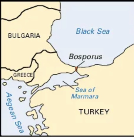 term image
