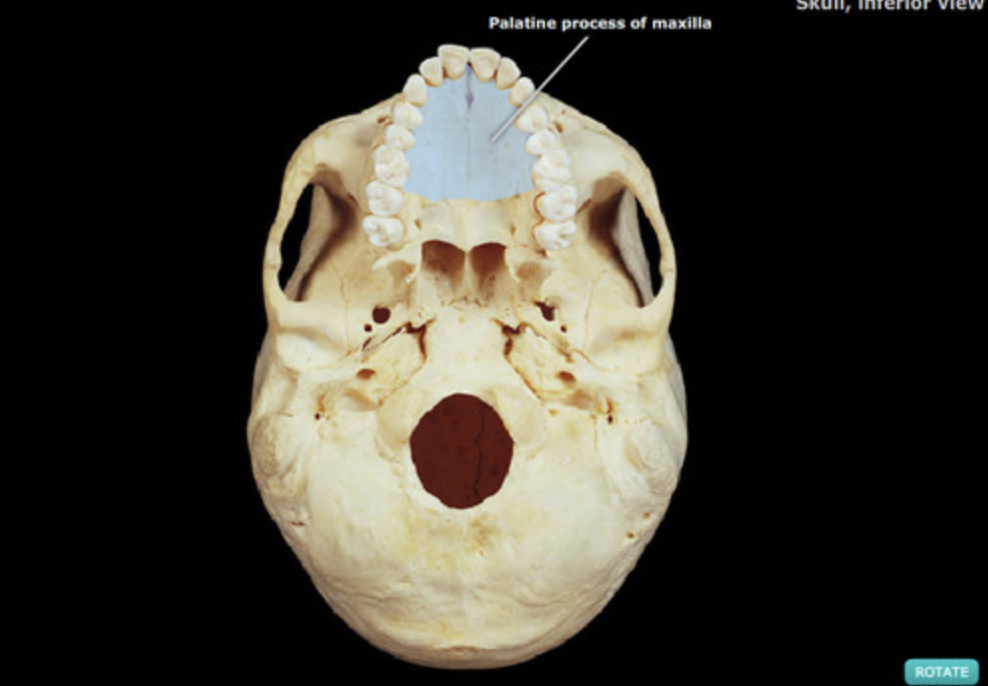 knowt flashcard image
