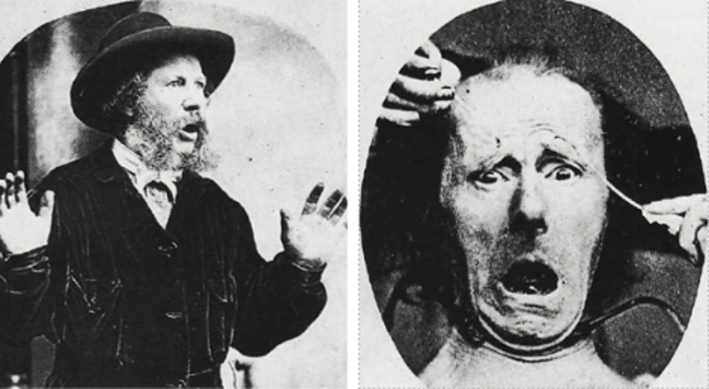 <p>GIlman discusses Charles Darwin's Expression of Emotion in Man and Animals. Darwin argued that emotions are mimetic (unmediated) physical expressions of experience.</p><p>Use of photographs to prove continuity of pain expression across species.</p>