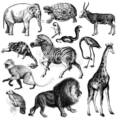 science of animals