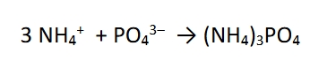 <p>in order to form this, there has to be 3 ammonium ions to one phosphate ion. This compound would be named in accord with ionic compounds (not molecular compounds): ammonium phosphate</p>