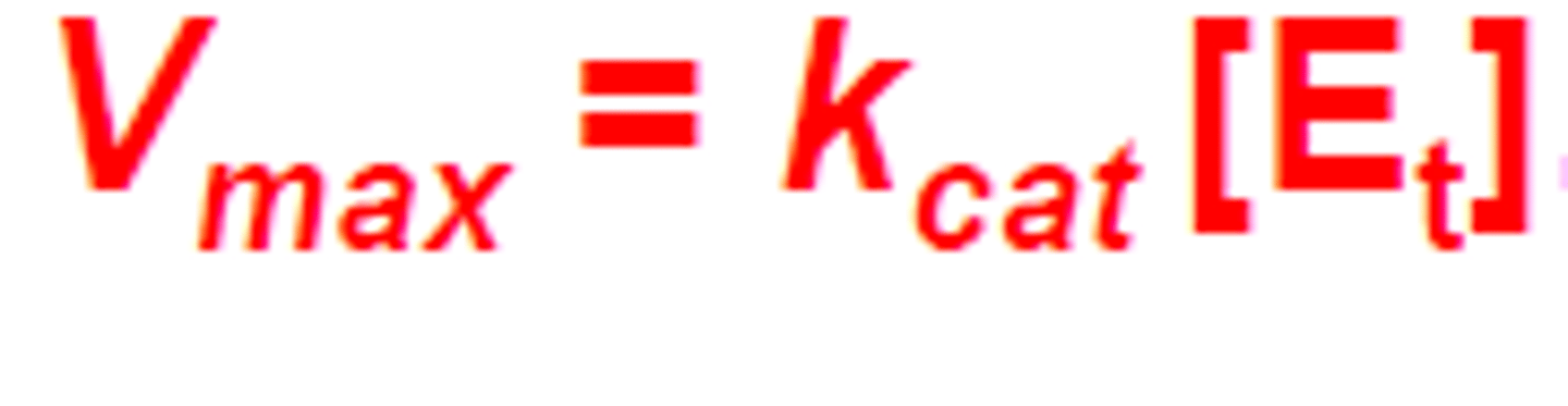 <p>Vmax = Kcat × [Etot]</p>