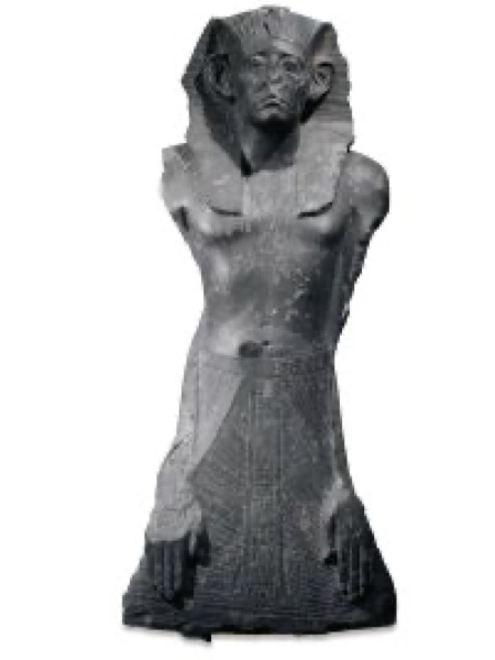 term image