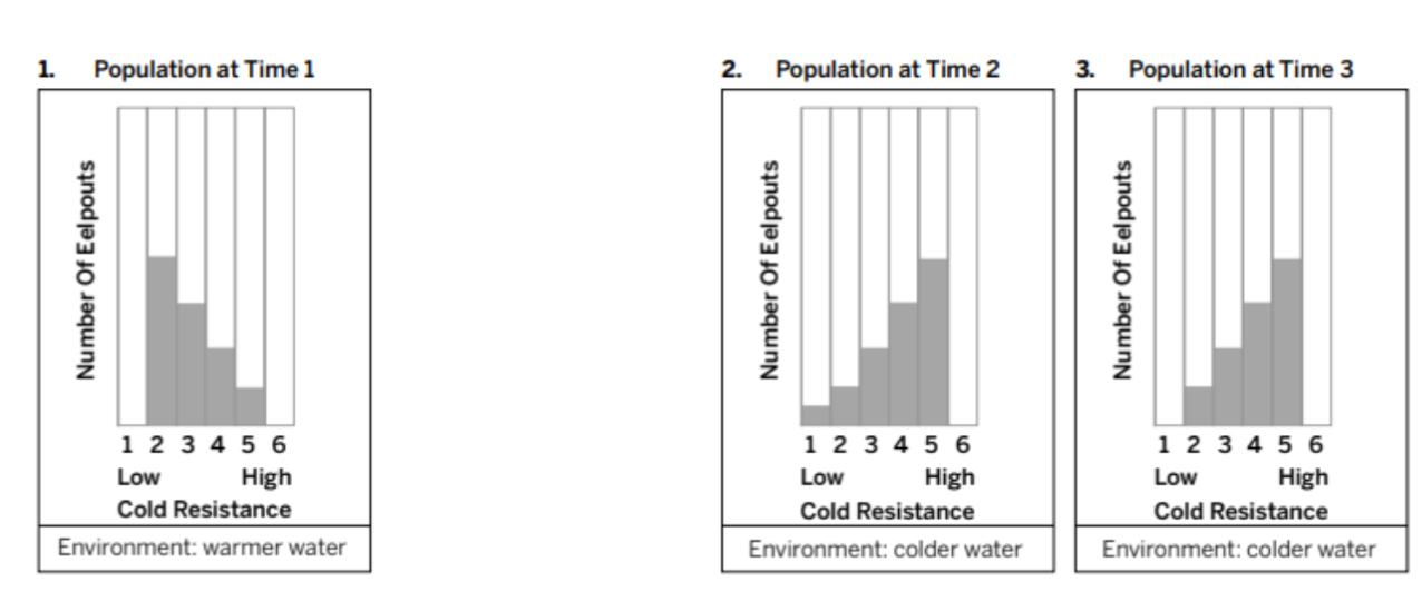 <p><span>Between time 2 and time 3, other than the change in variation/distribution, what do we know FOR SURE happened to the population?</span></p>