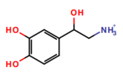 <p>What is this a picture of?</p>