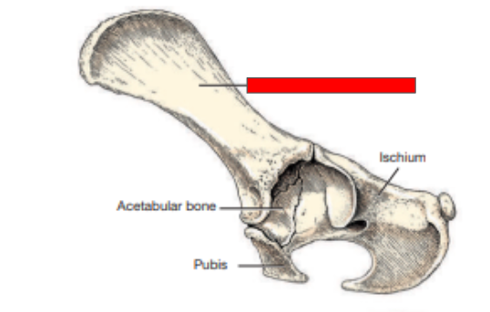 <p>What structure is this?&nbsp;</p>