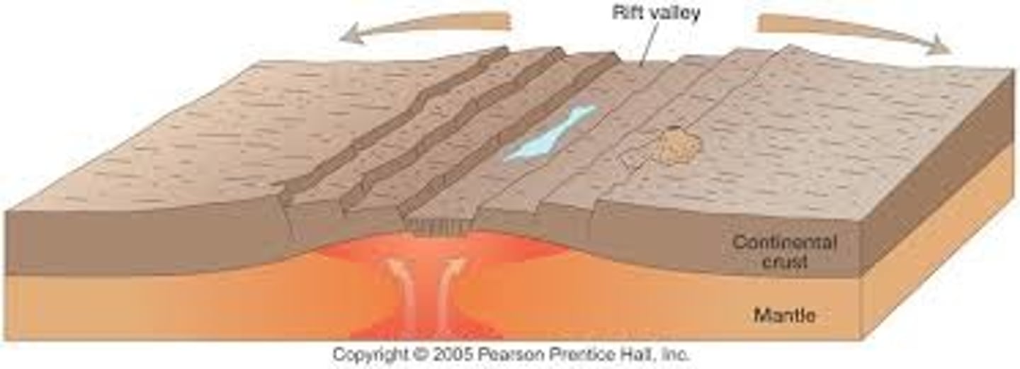 <p>- 2 continental rift valley move apart from each other</p><p>- rocks fracture ( faulting) to form parallel faults</p><p>- the rocks in between these faults collapses with steep sides</p><p>- decrease in overlying pressure causes underlying mantle to melt forming magma</p><p>- magma rises through weak crust forming volcanoes</p><p>- eg. The East African Rift Valley</p>