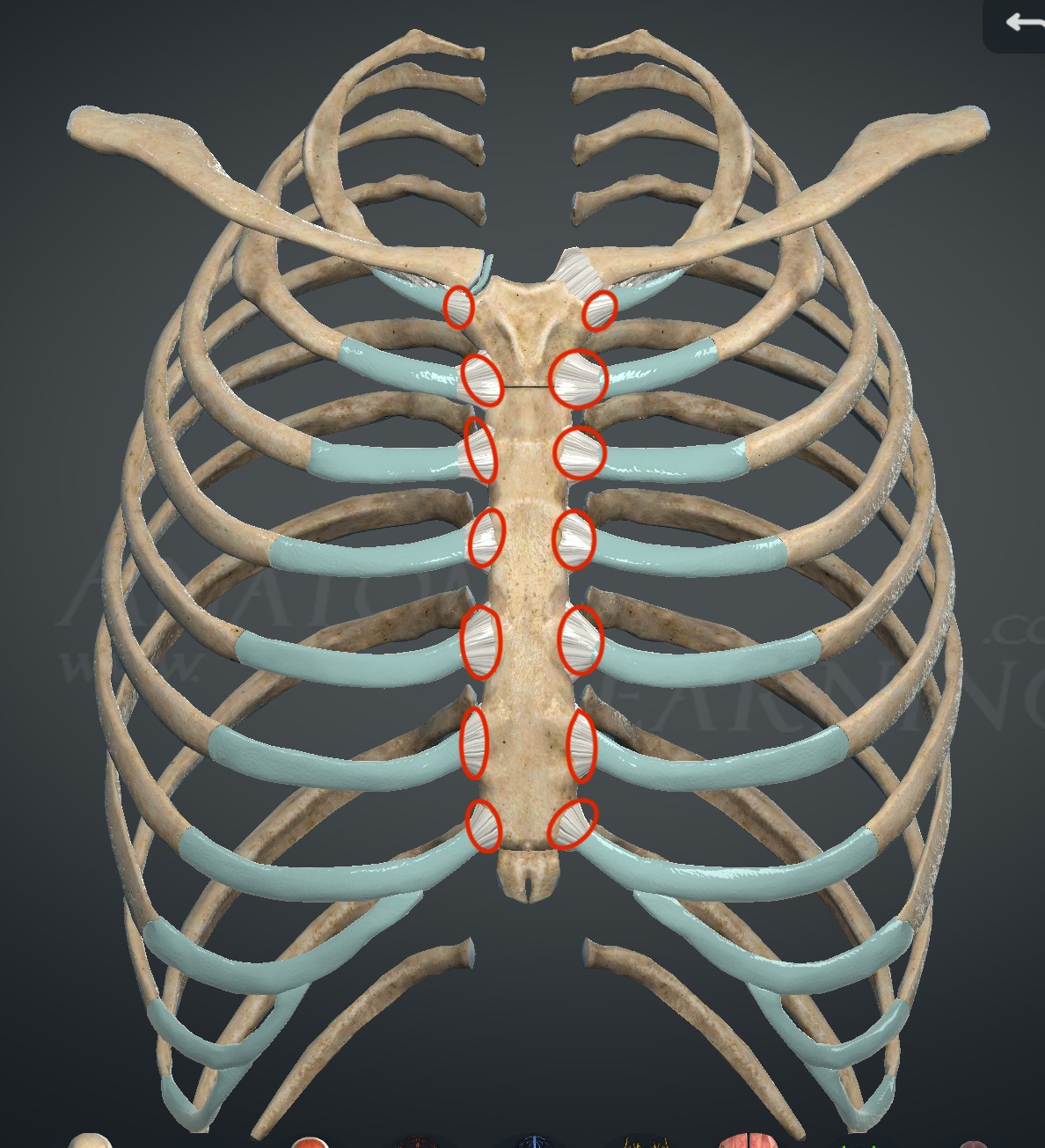 <p>What joints are these?</p>