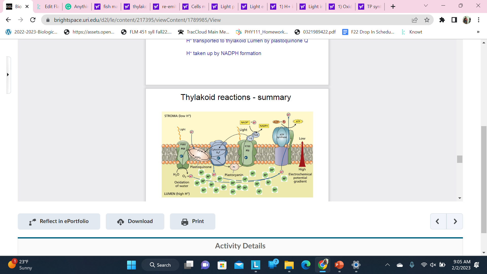 ATP synthesis is not part of electron transport. ATP synthesis is coupled to electron transport by the H+ gradient