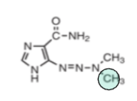 <p>Based off the functional group (green), what is the drug class?</p>