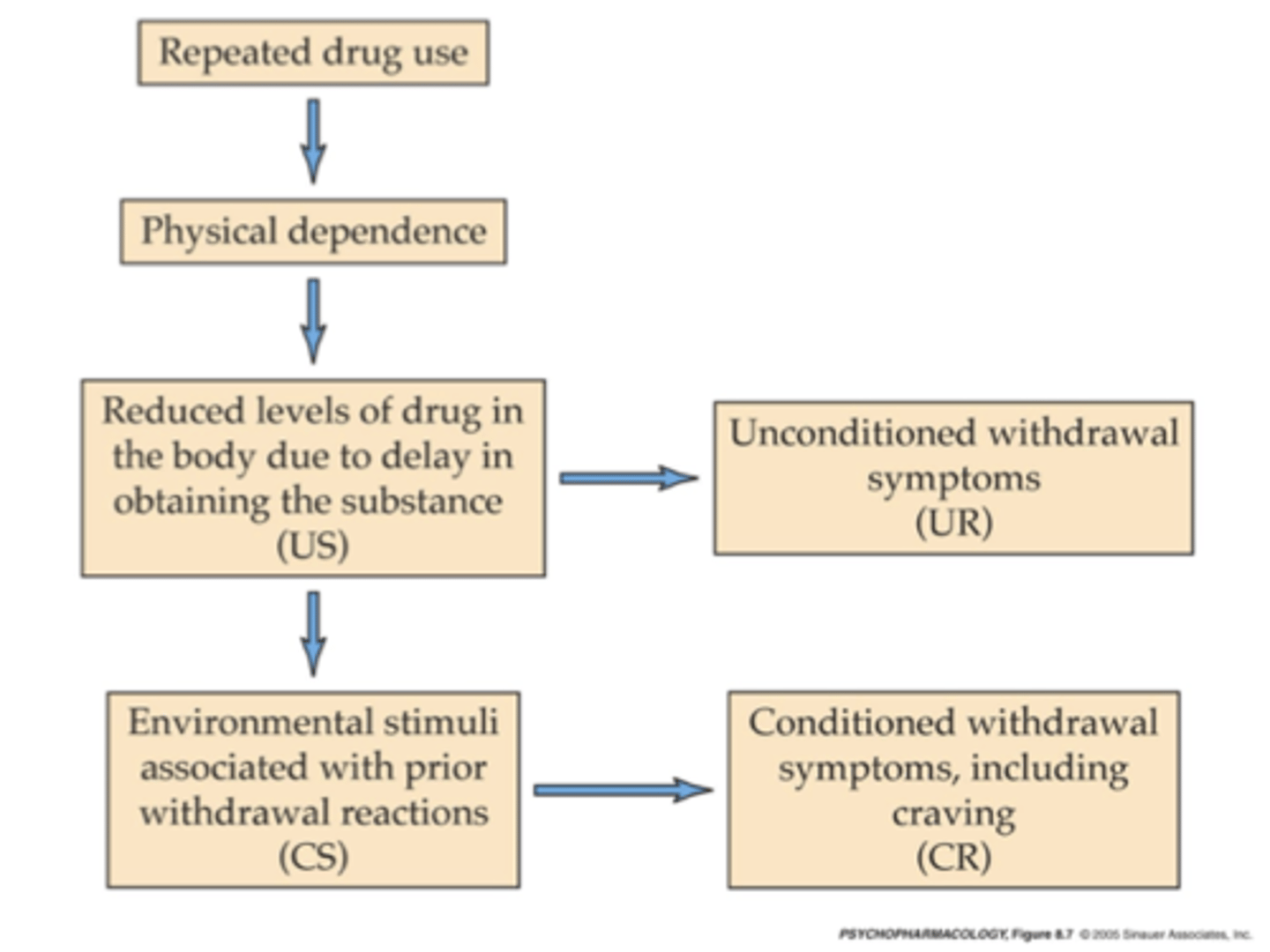 <p>Having withdrawal symptoms (or cravings for the drug) in places or situations the drug has been used in the past</p><p>Feel withdrawal even when no longer physically dependent</p>