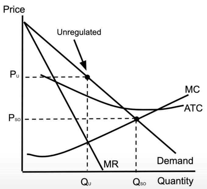 <ul><li><p>where the MC hits the demand curve (= the socially optimal quantity), the ATC is still falling</p></li><li><p>this means that the firm can produce the product at the lowest possible cost</p></li></ul><p></p>