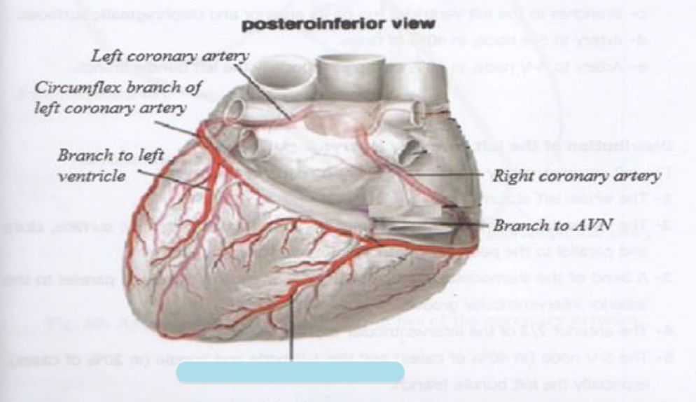 <p>Name the covered parts in the following photo</p>
