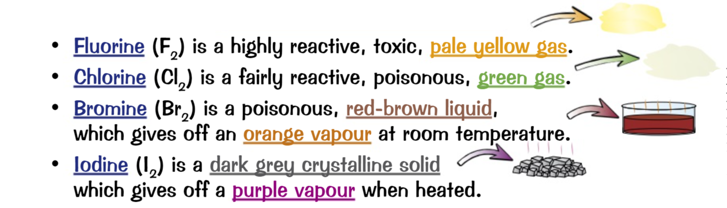Also known as the group 7 elements include fluorine, chlorine, bromine, iodine and astatine with similar chemical properties. Melting and boiling points increase as you go down the group meaning at room temperature they are at different states (shown in the image) but reactivity decreases going down. They react with alkali metals (group 1 elements) to form salts like sodium chloride or potassium bromide. A more reactive group 7 element (one higher up the group) will displace a lesser reactive one.