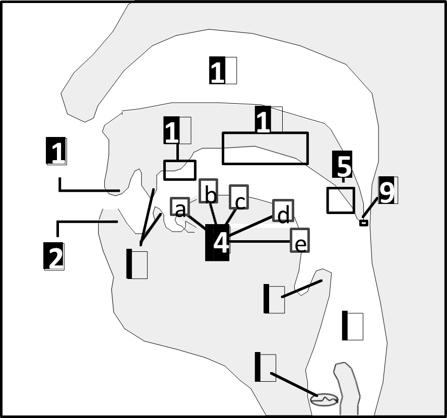 <p>6</p>