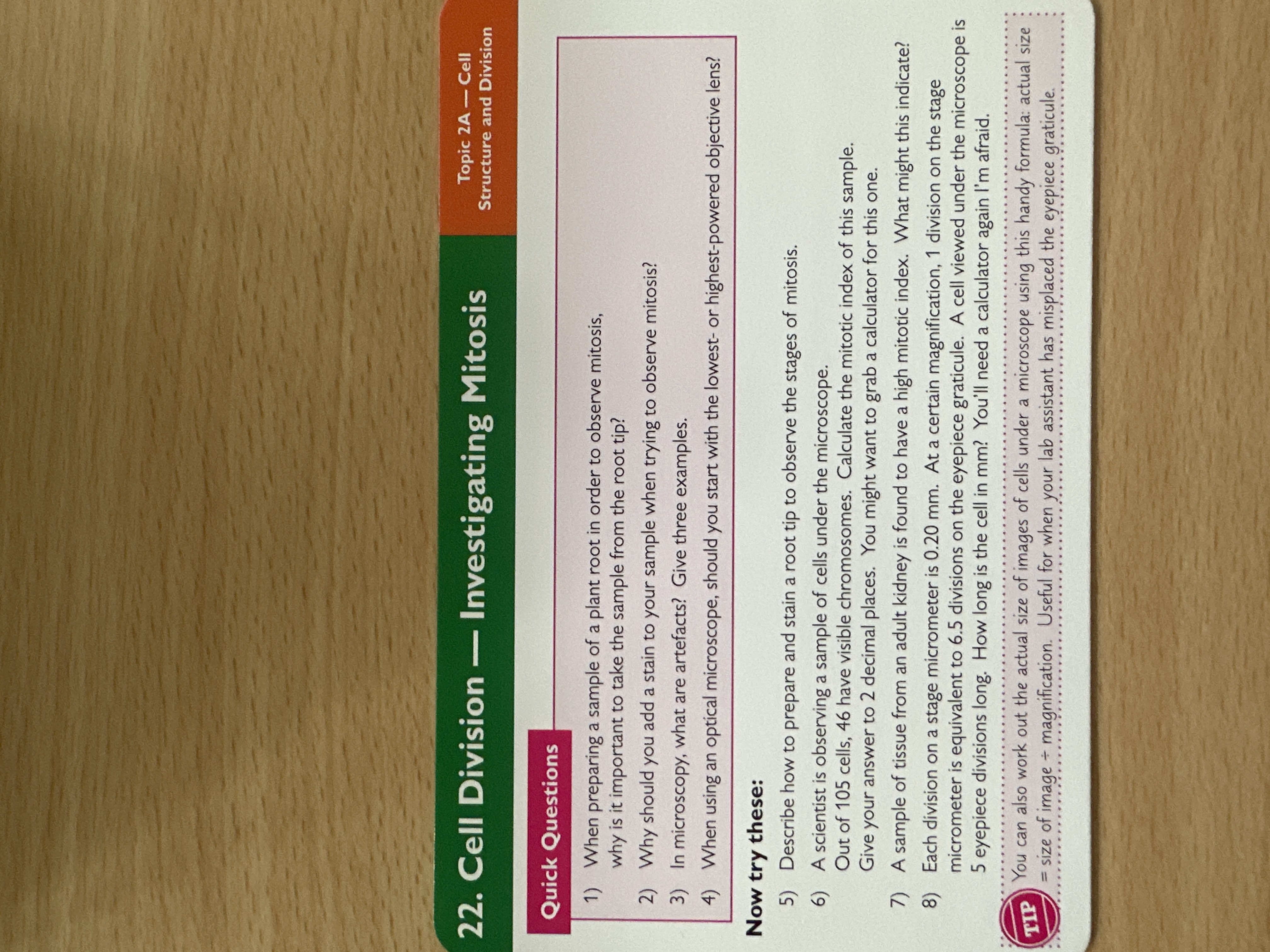 Investigating mitosis 