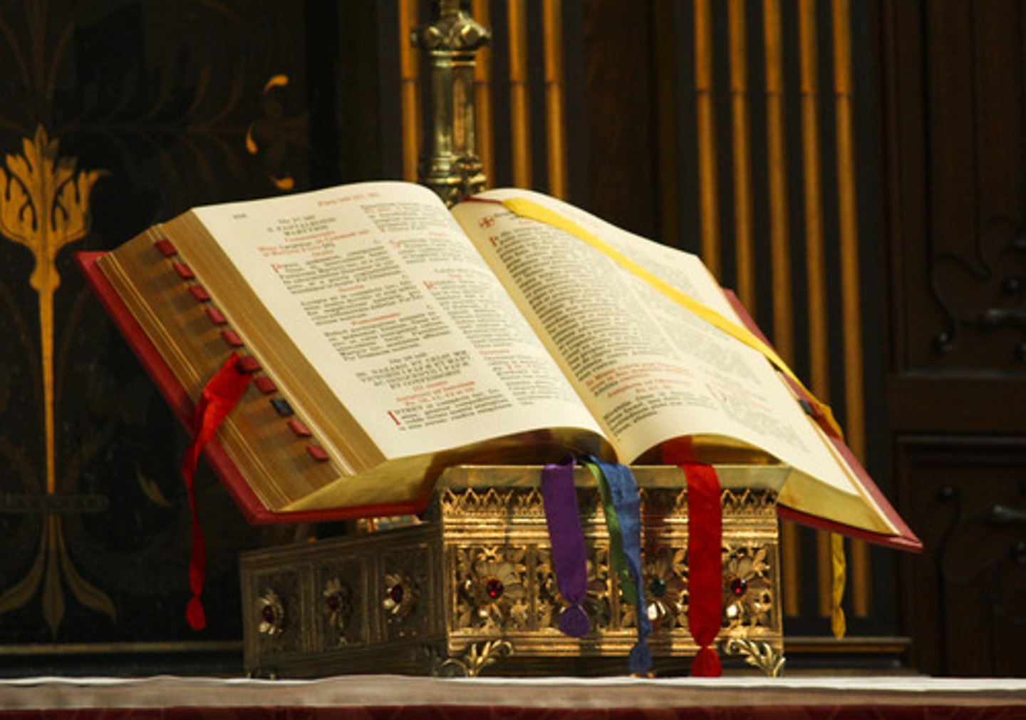 <p>roman missal: prayers, chants, and instructions for mass</p><p>gospel book: written account of Jesus' life and ministry</p>