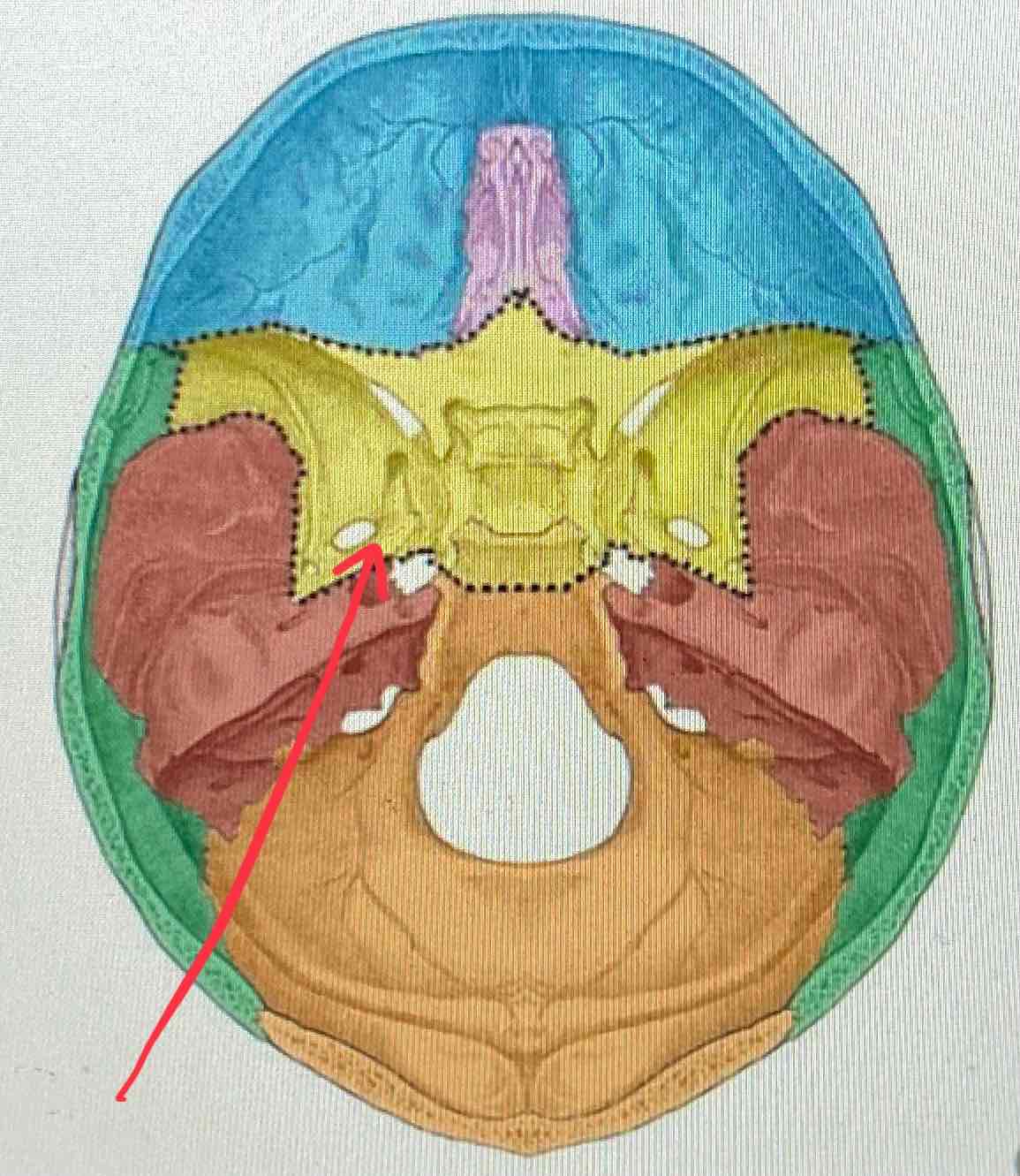 knowt flashcard image