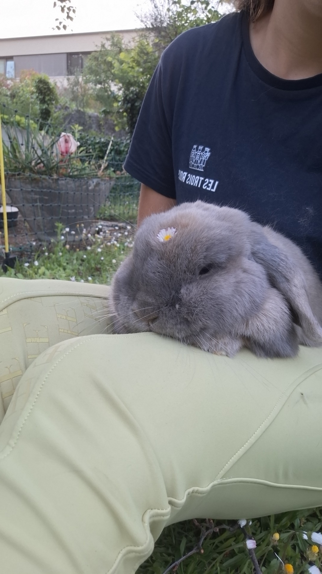 <p>Qu'est-ce qui rend le corps humain conducteur d'électricité selon le texte?</p>