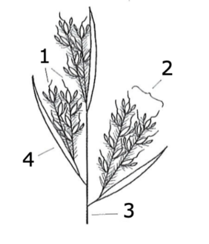 <p>what is 4?</p>