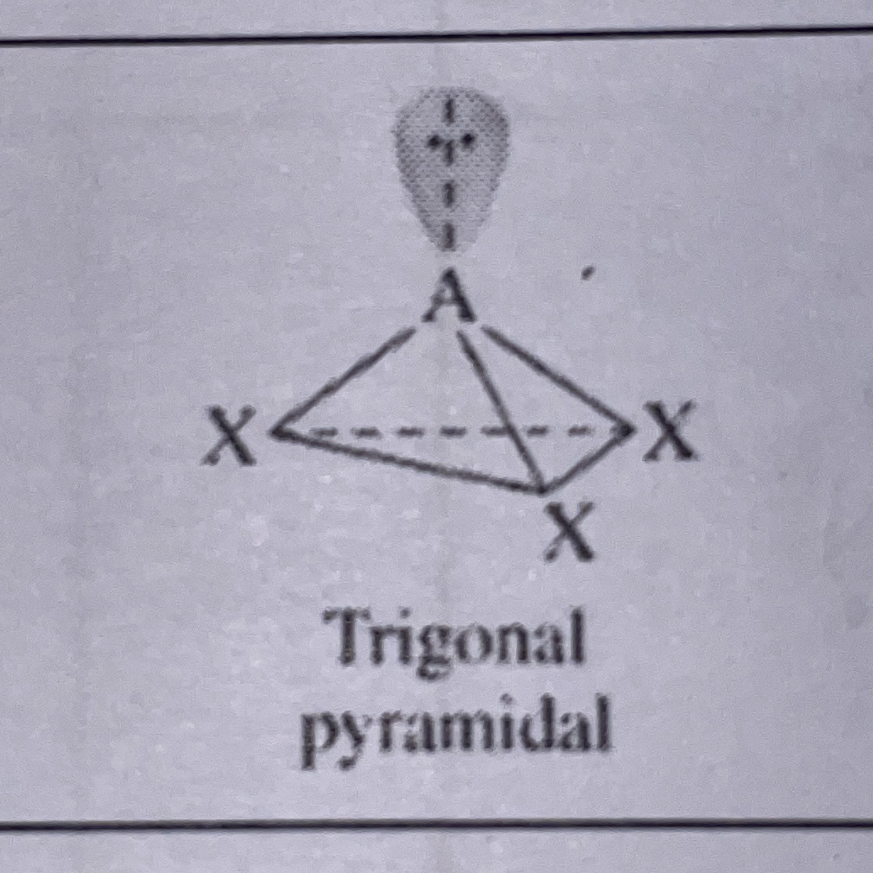 <p>Trigonal Pyramidal</p>