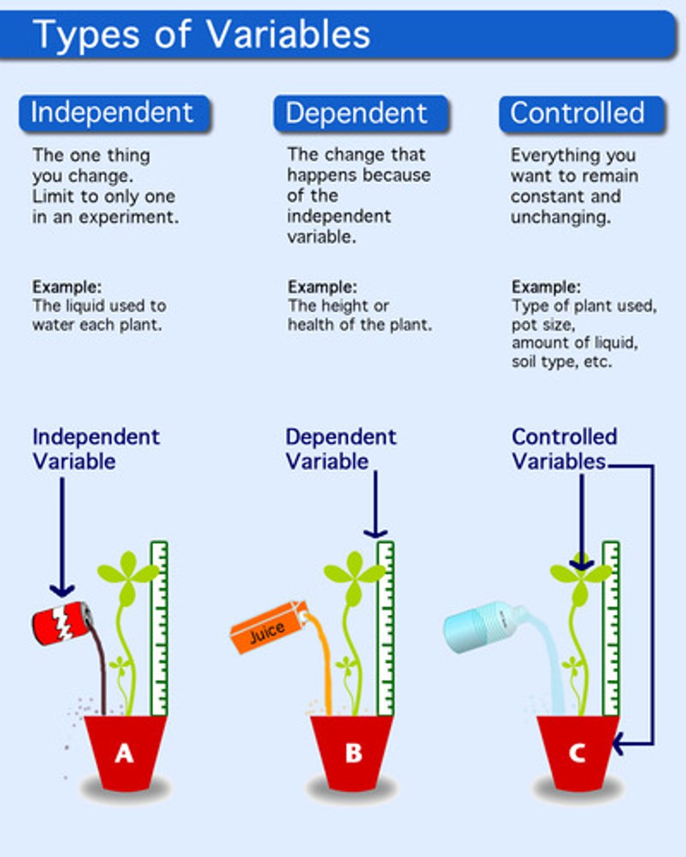 <p>the factor in an experiment that changes as a result of the independent variable</p>