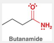 <p>butanamide (pictured)</p>