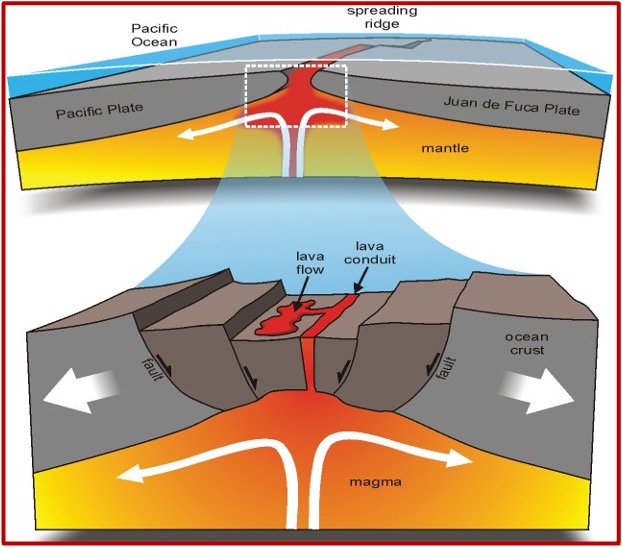 <p>At these boundaries, plates move <u>away</u> from each other (diverge)</p><ul><li><p>new land gets <u>created</u></p></li><li><p>results in <strong>seafloor spreading</strong> </p></li><li><p><strong>oceanic ridges</strong> form</p><ul><li><p>Example: the Mid-Atlantic Ridge</p></li></ul></li></ul><p></p>