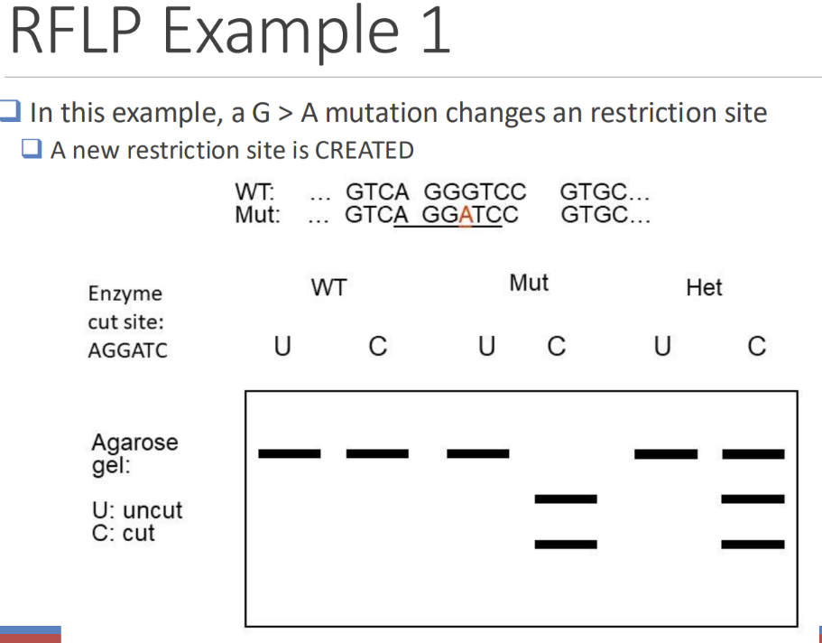 <p>understand these examples</p>