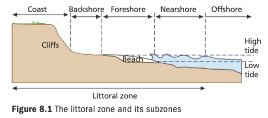 <p>The area of shoreline where land is subject to wave action.</p><p><mark data-color="purple" style="background-color: purple; color: inherit">Zones:</mark></p><ul><li><p><strong>Offshore:</strong> The area of deeper water beyond the point at&nbsp;which waves begin to break. Friction between the waves and the sea bed may cause some distortion of the wave shape. <span style="color: red">coral reefs, barrier islands</span></p></li><li><p><strong>Nearshore: </strong>The area of shallow water beyond the low tide mark, within which friction between the seabed and waves distorts the wave sufficiently to cause it to break. (breaker zone) There may be a breakpoint bar between the offshore and nearshore zones. <span style="color: red">wave cut platforms</span></p></li><li><p><strong>Foreshore:</strong> The area between the high tide and the low tide mark. <span style="color: red">beach berm</span></p></li><li><p><strong>Backshore:</strong> The area above the high tide mark, affected by wave action only during major storm events.<span style="color: red">&nbsp;sand dunes</span></p></li></ul><p></p>