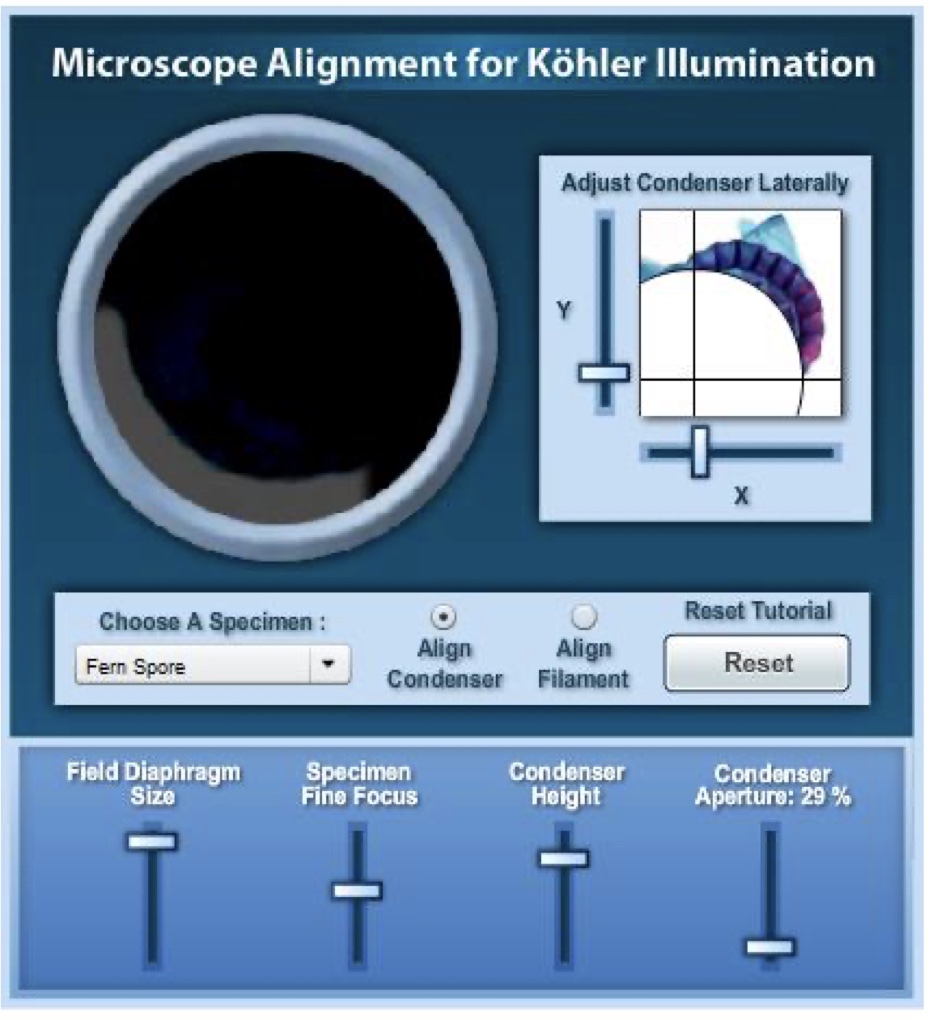 <p>illumination of the specimen is the most important variable in achieving high-quality images in microscopy and critical photomicrography or digital imaging. The sample has to be illuminated evenly right across.</p>