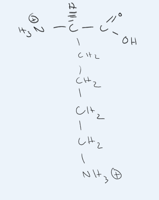 <p>What amino acid is this?</p>