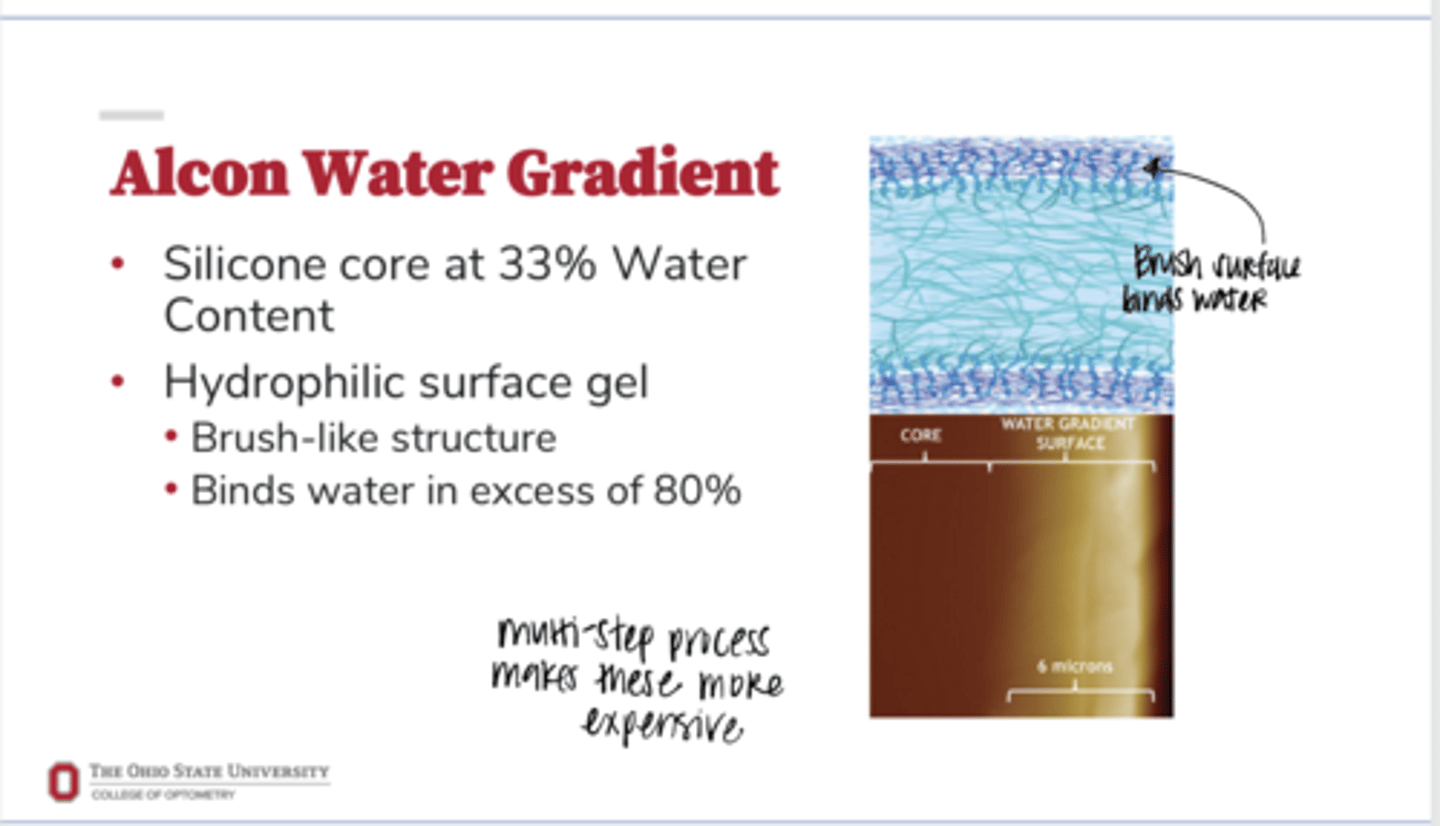 <p>What are examples of lenses with a permanent water surface?</p>
