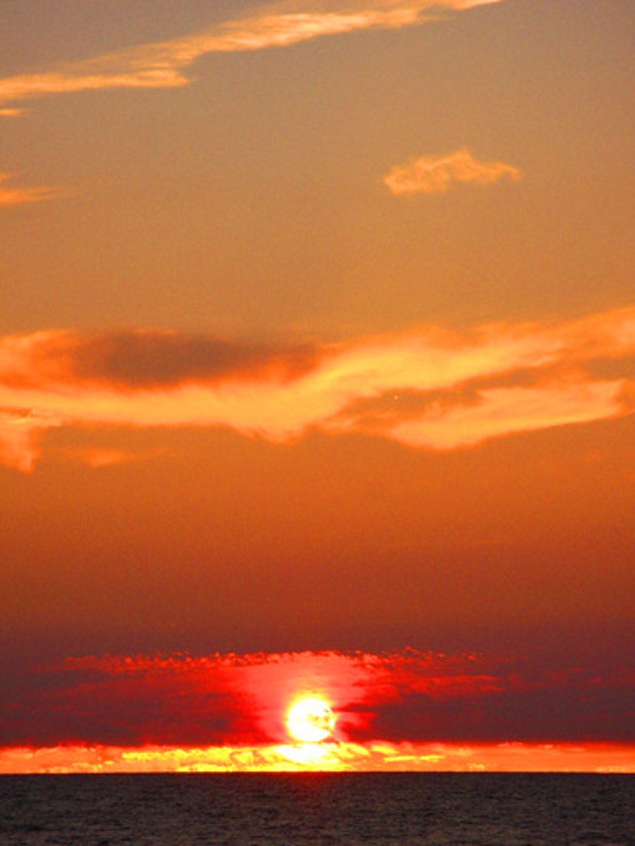 <p>rises</p>