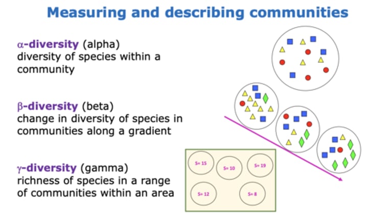 <p><strong>alpha-diversity</strong></p><p>-diversity of species within a community</p><p></p><p><strong>beta-diversity</strong></p><p>-change in diversity of species in communities along a gradient </p><p></p><p><strong>gamma-diversity</strong></p><p>-richness of species in a range of communities within an area</p>