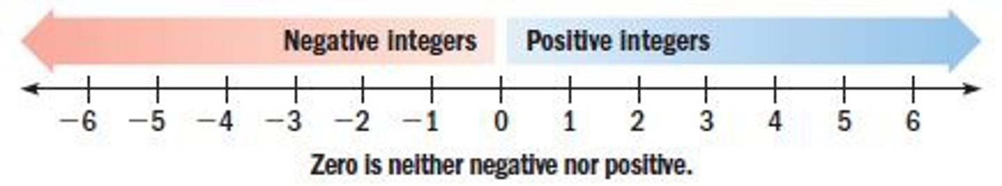 <p>The integers that are less than zero. They are the opposites of the positive integers.</p>