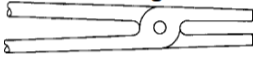 <p>Image_</p>