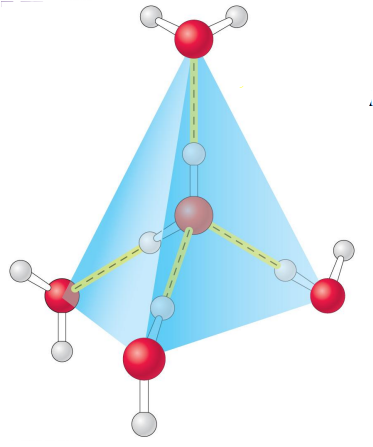 <ul><li><p>In ice each water molecule forms 4 H-bonds. </p></li><li><p>Hydrogen bonds in ice are most stable than hydrogen bonds in water. </p></li></ul><p></p>