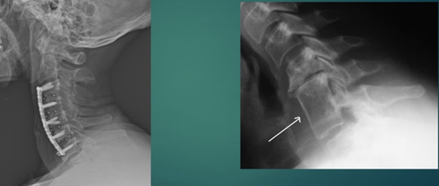 <p>What are we looking at here?</p>