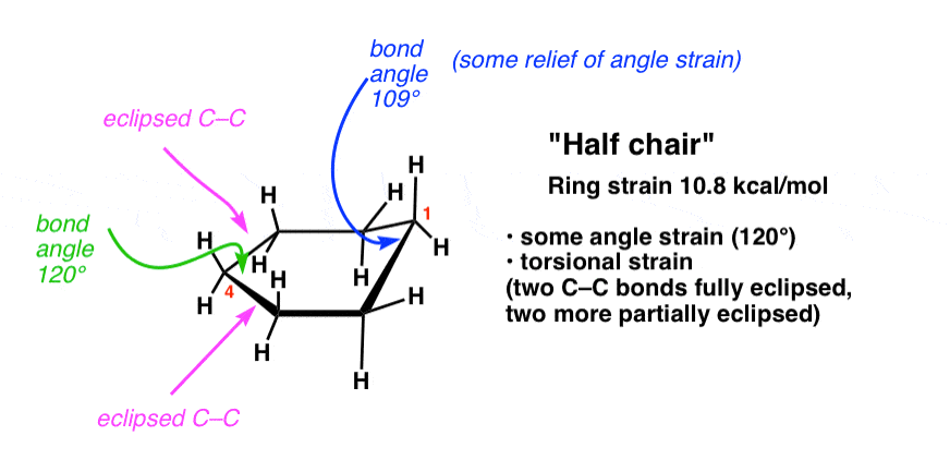 <p><span><strong>Answer: The half-chair conformation.</strong></span></p>
