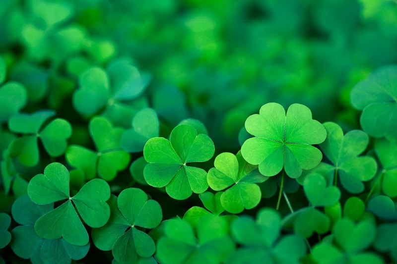 <p>(adjective)</p><p>promising success; favorable circumstances and good luck</p><p>Word Associations: favorable, good luck</p>