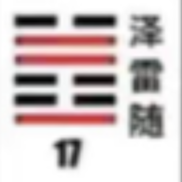 <p><strong>泽雷随(随卦)</strong></p>